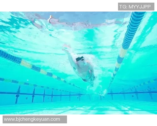 自由泳健身全方位指导:从基础技巧到高效训练提升体能与耐力 自由泳健身全方位指导:从基础技巧到高效训练提升体能与耐力
