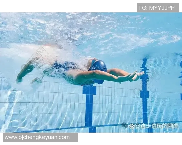 如何系统性学习游泳技巧从基础入门到高效提高全程攻略