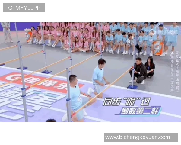 体育竞技新视角：运动与技巧的完美结合