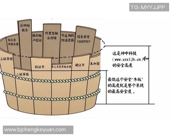 北京篮球队转型之路揭秘：从传统强队到现代化篮球新势力的崛起